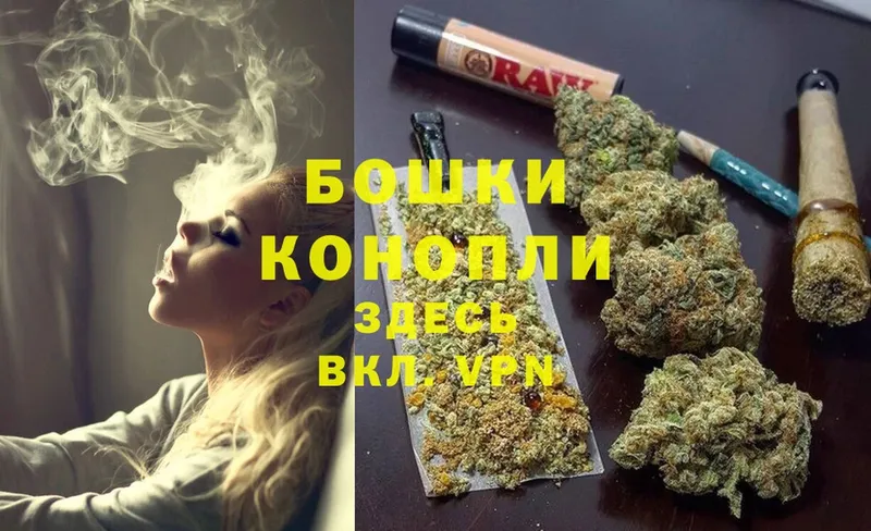 как найти   Шелехов  Шишки марихуана THC 21% 